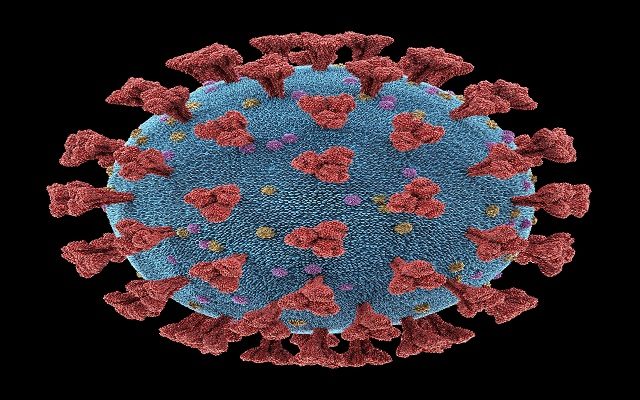 Latest Corona Virus Numbers in Kenosha