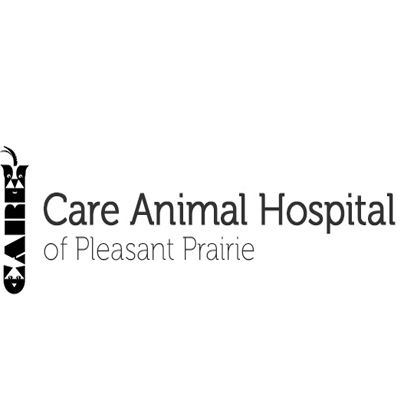 Dr. Russ Brewer-Care Animal Hospital 12/1/20