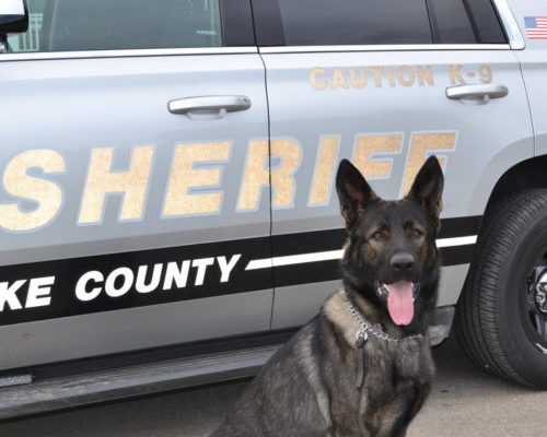 Lake County Sheriff K9 Dax Gets “Assist” in Saving Man’s Life
