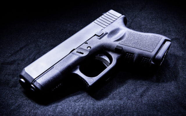 Republican plan would lower age to carry concealed weapon