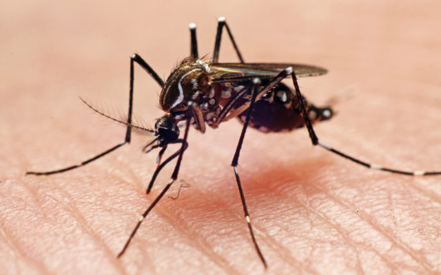 First Human Case of West Nile Virus in Lake County Since 2018