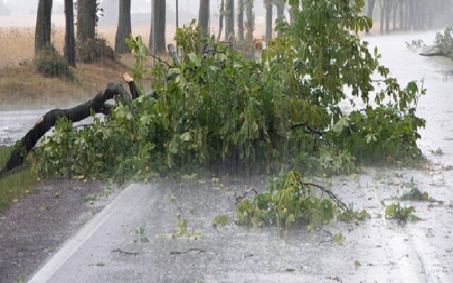 Kenosha Dodges Major Damage During High Winds
