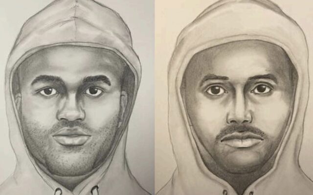 Lake County Authorities Asking for Public Help in Catching November Carjacking Suspects