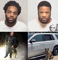 Lake County K9’s Help Track Pair of Armed Robbery Suspects in Beach Park