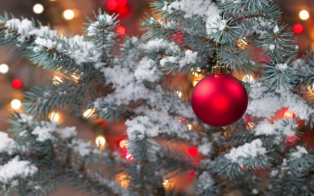 Kenosha Christmas Tree Lighting; Kick Off To Holiday Celebrations Set for Nov. 25
