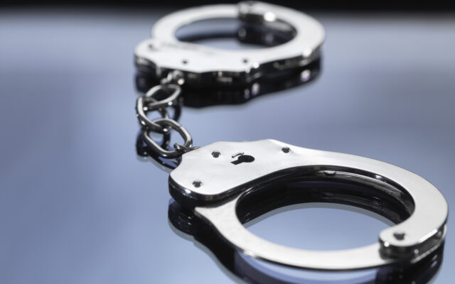 Waukegan Man Arrested After Fleeing Kenosha County Police Twice