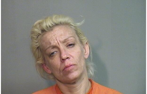 Prosecutors Release More Information on Round Lake Beach Woman’s Drug Arrest