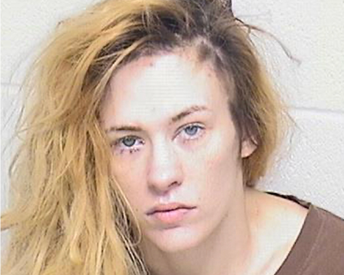 Twin Lakes Woman Facing Multiple Felonies After a Stolen Vehicle Incident in Waukegan